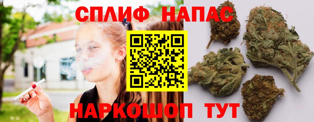 МАРИХУАНА сатива Ступино